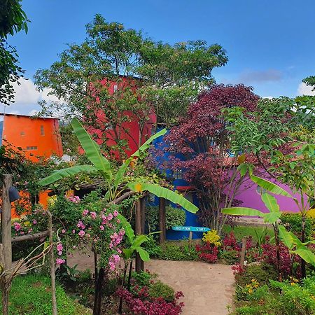 Chameleon Hill Forest Lodge Bwindi Экстерьер фото