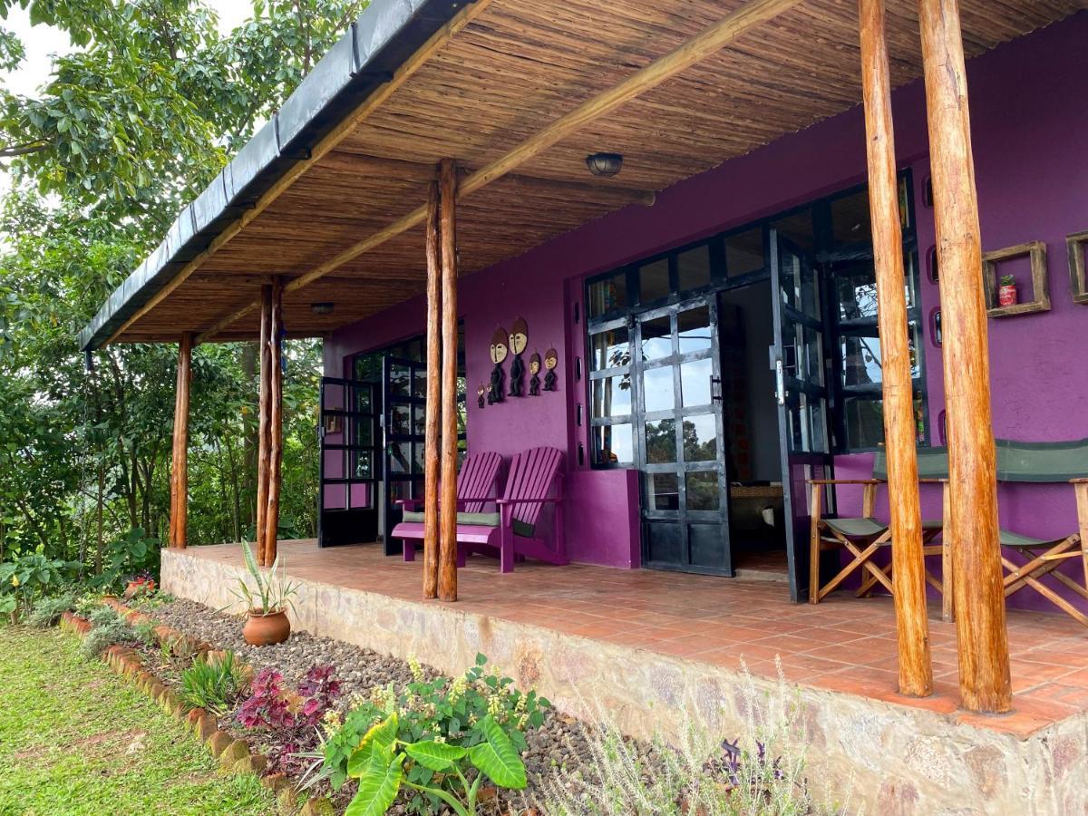 Chameleon Hill Forest Lodge Bwindi Экстерьер фото