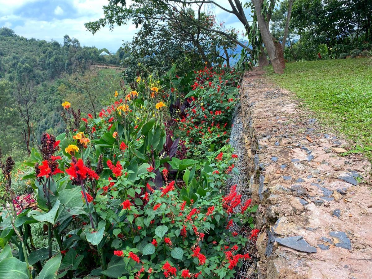 Chameleon Hill Forest Lodge Bwindi Экстерьер фото
