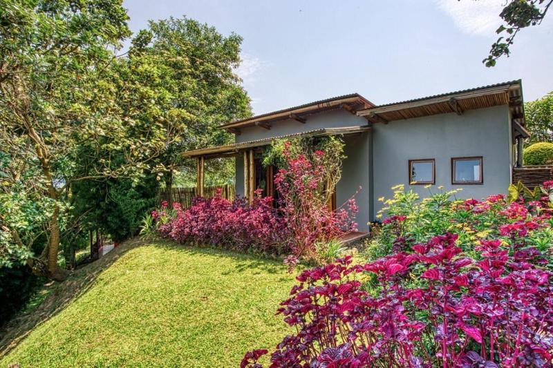 Chameleon Hill Forest Lodge Bwindi Экстерьер фото