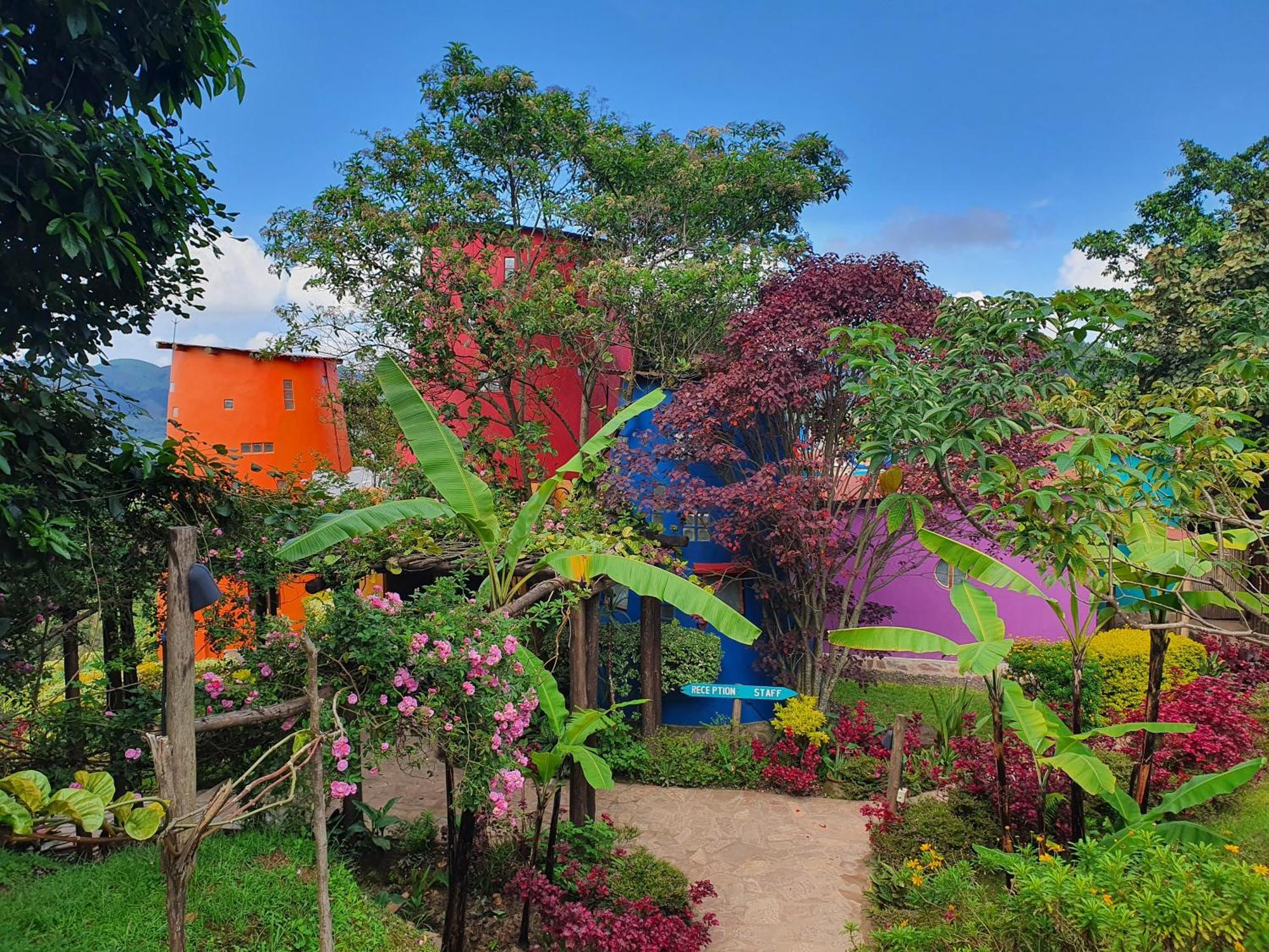 Chameleon Hill Forest Lodge Bwindi Экстерьер фото